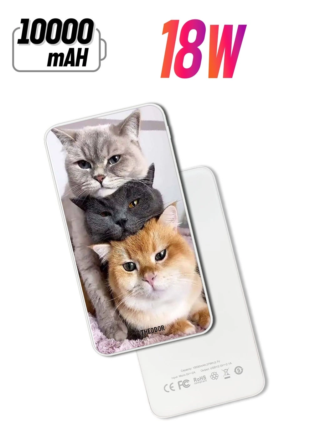 Theodor EX_PPBA085 - 10000 mAh 18W Quick Charging 3.0