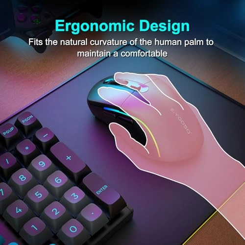 X-53 - 2.4Ghz Bluetooth 5.1 USB