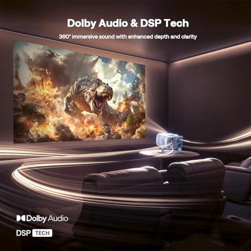 BOOM 3 F503 500 ANSI