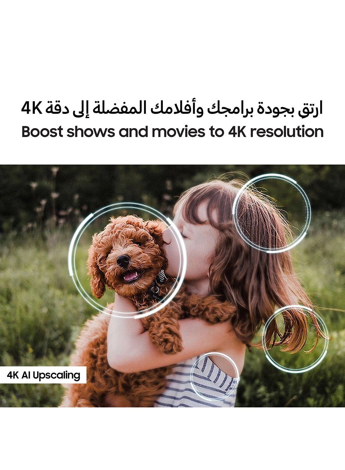 QA65QN80FAUXZN - 65inch