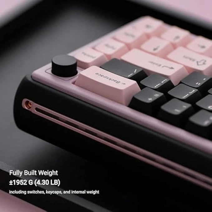 FOXY65 - Wired/Wireless