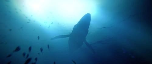 Under The Waves - PlayStation 5