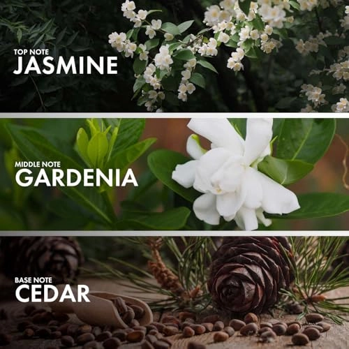 Pear Jasmine Eau de Parfum - 50ml