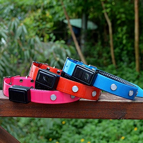 Pet Collar - Charging ( L) Dog