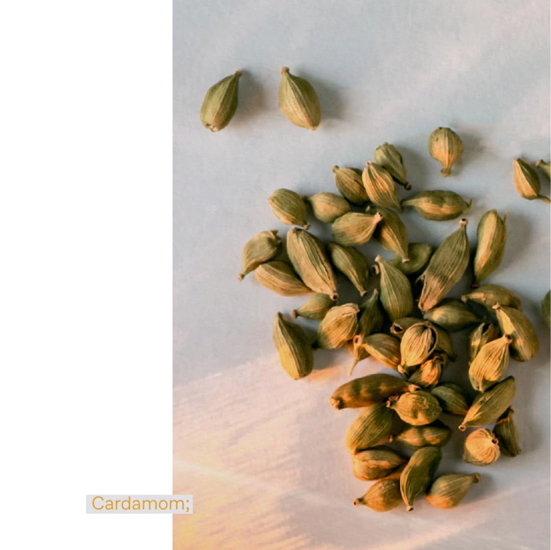 Oceanic Amber Eau de Toilette - 1.69 Fl Oz