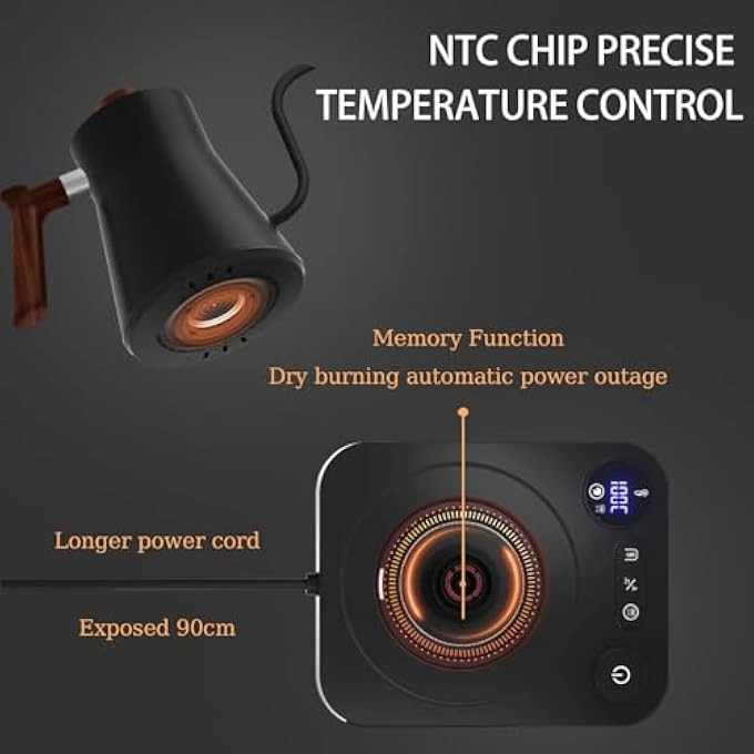 Temperature Control Gooseneck Electric Kettle