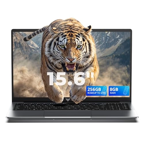 LX15 N97 - 15.6'' Intel N97 8GB DDR4 256GB SSD