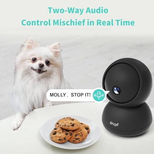 Indoor Security Camera 3K