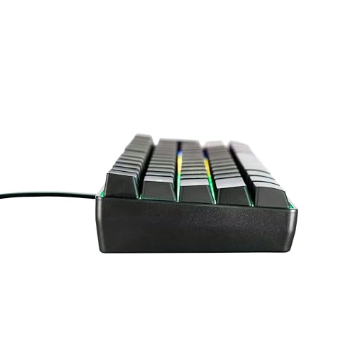 Kingpin X1 - US Wired