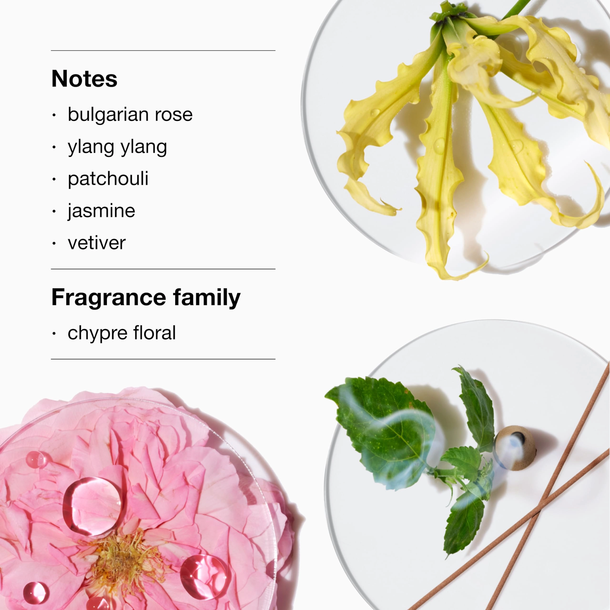 Aromatics Elixir Eau de Parfum 100 ml