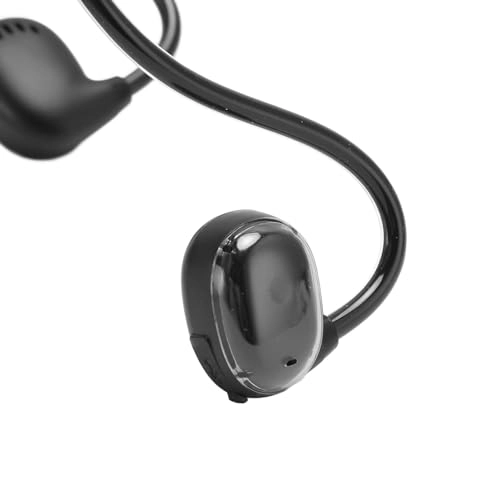 dg45c17y69-13 Wireless Earbud