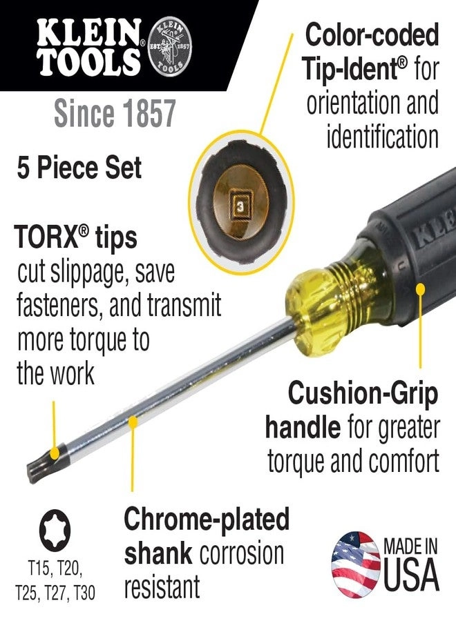 19555 Torx Screwdriver Set (5 Pcs)