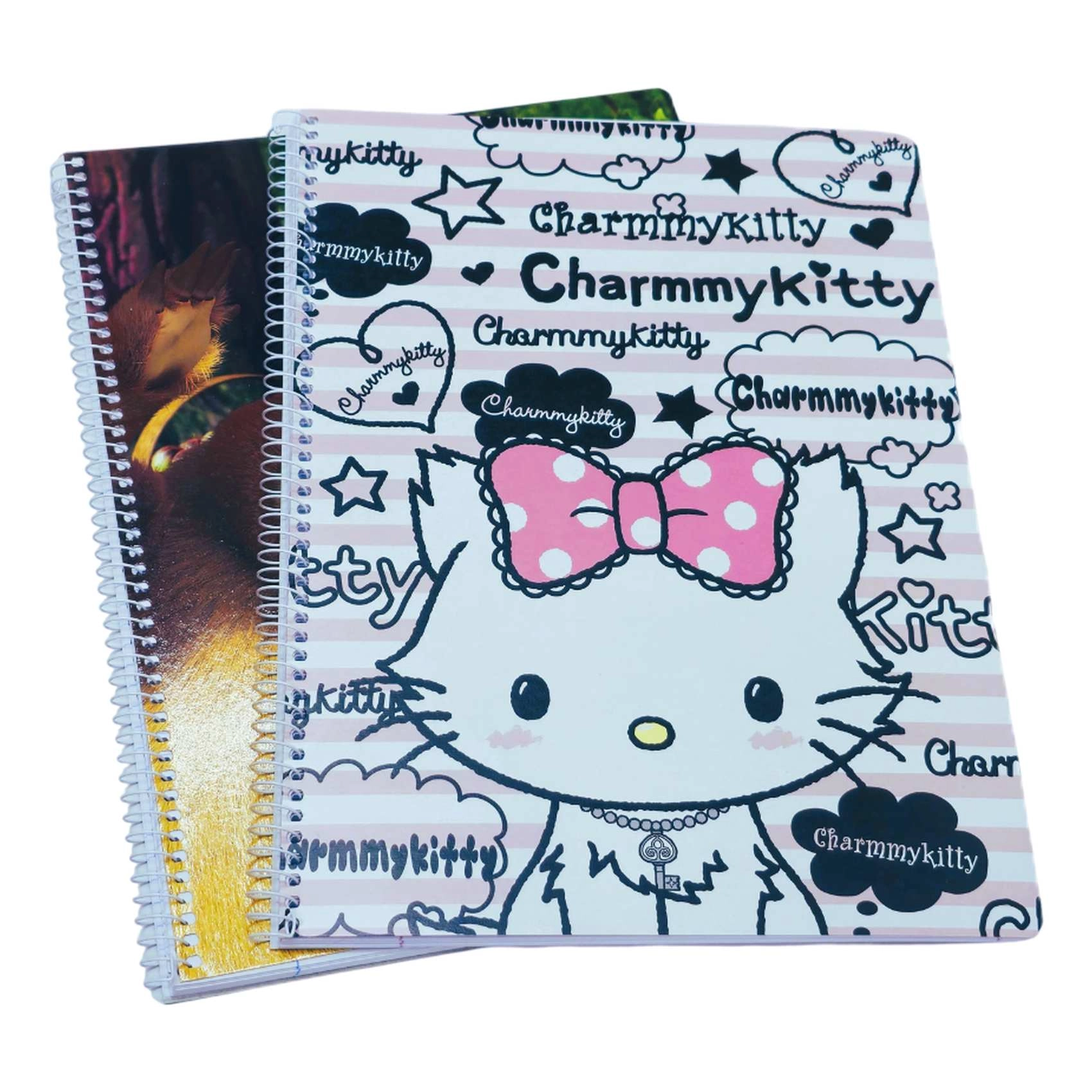 Carrefour Ambar Spiral Notebook A4 Spiral - 80 Sheets
