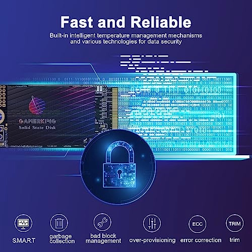SSD - 500GB M.2 2242