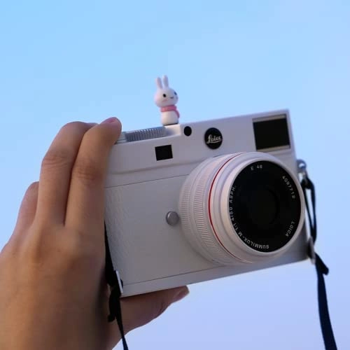 Camera Hot Boots - Leica Olympus Pentax SONY Fuji Nikon Panasonic Canon Rabbit