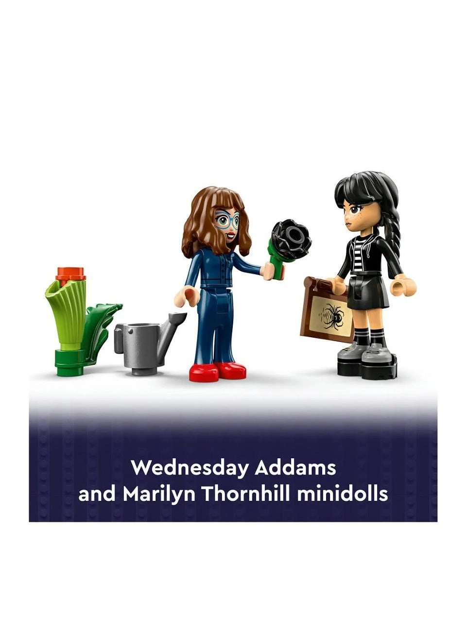 Wednesday Black Dahlia Flower