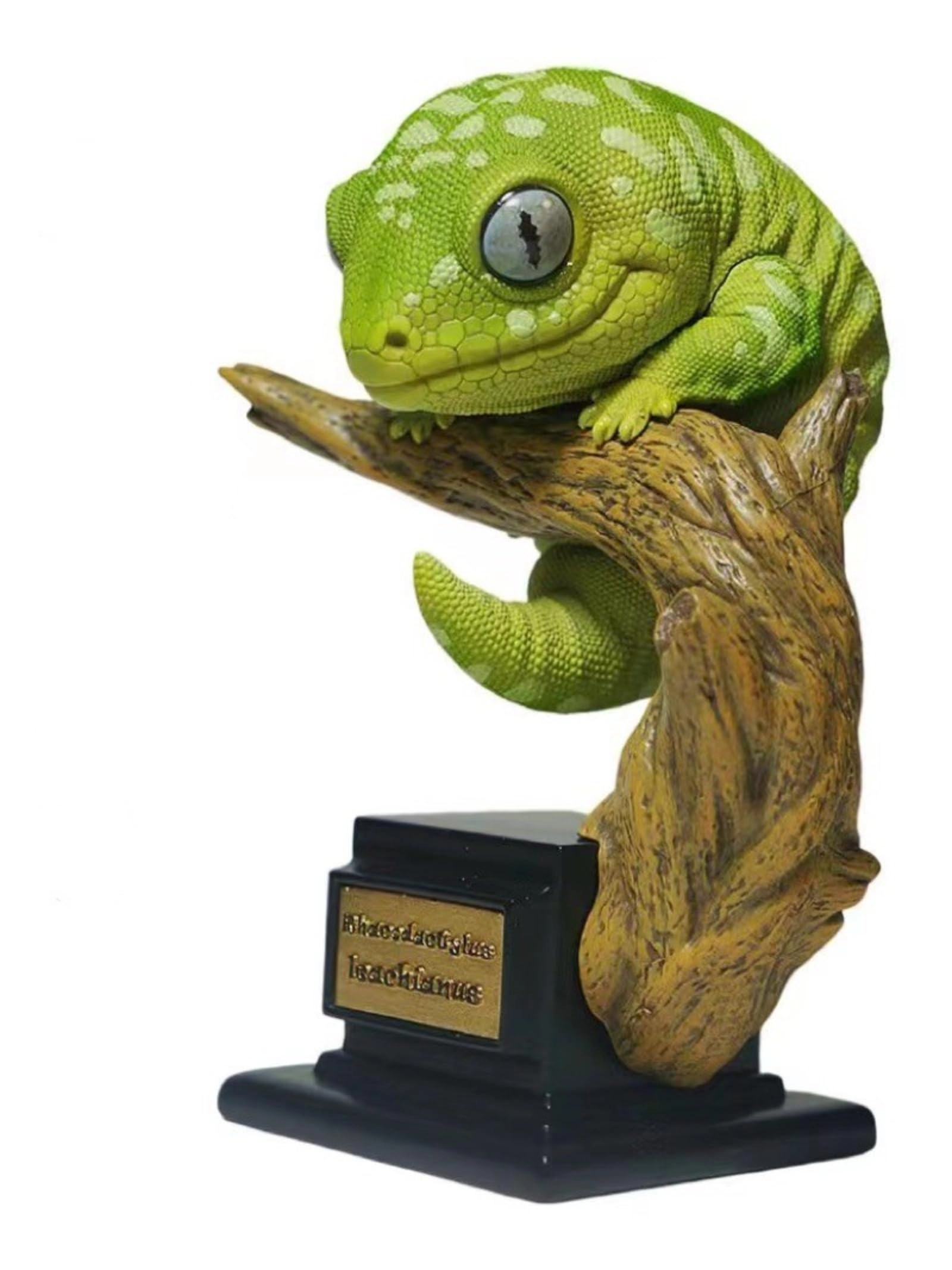 Gecko - Nephrurus Wheeleri Wheeleri (BWZ-SG)