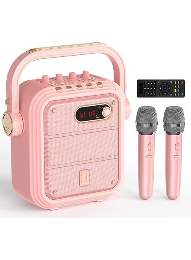 Karaoke machine - 2 wireless microphone