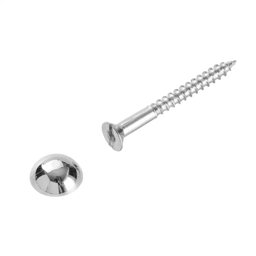 Slotted Round Mirror Screw Pack - 4.25 cm 0.4 cm