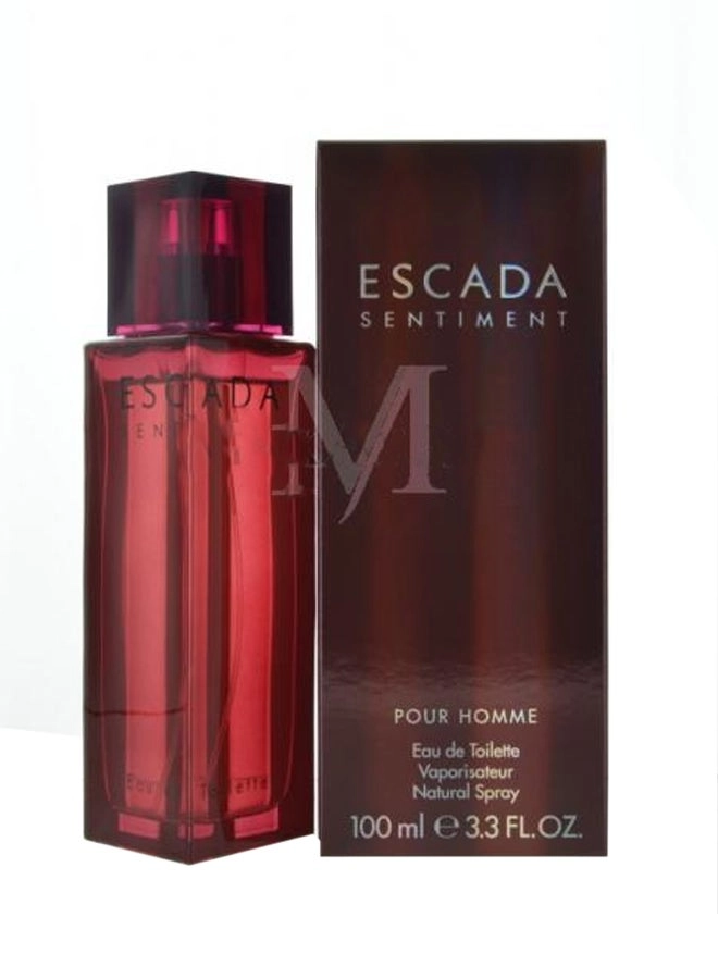 Sentiment Eau de Toilette 100ml