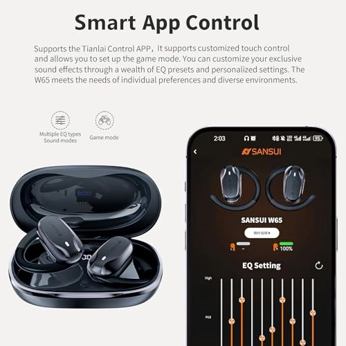 W65 Wireless Headphone