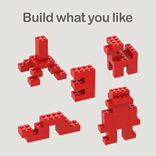 Classic Building Bricks - 100 pcs