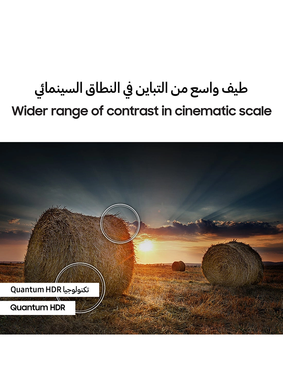 QA75QE1DAUXZN - 75 inch