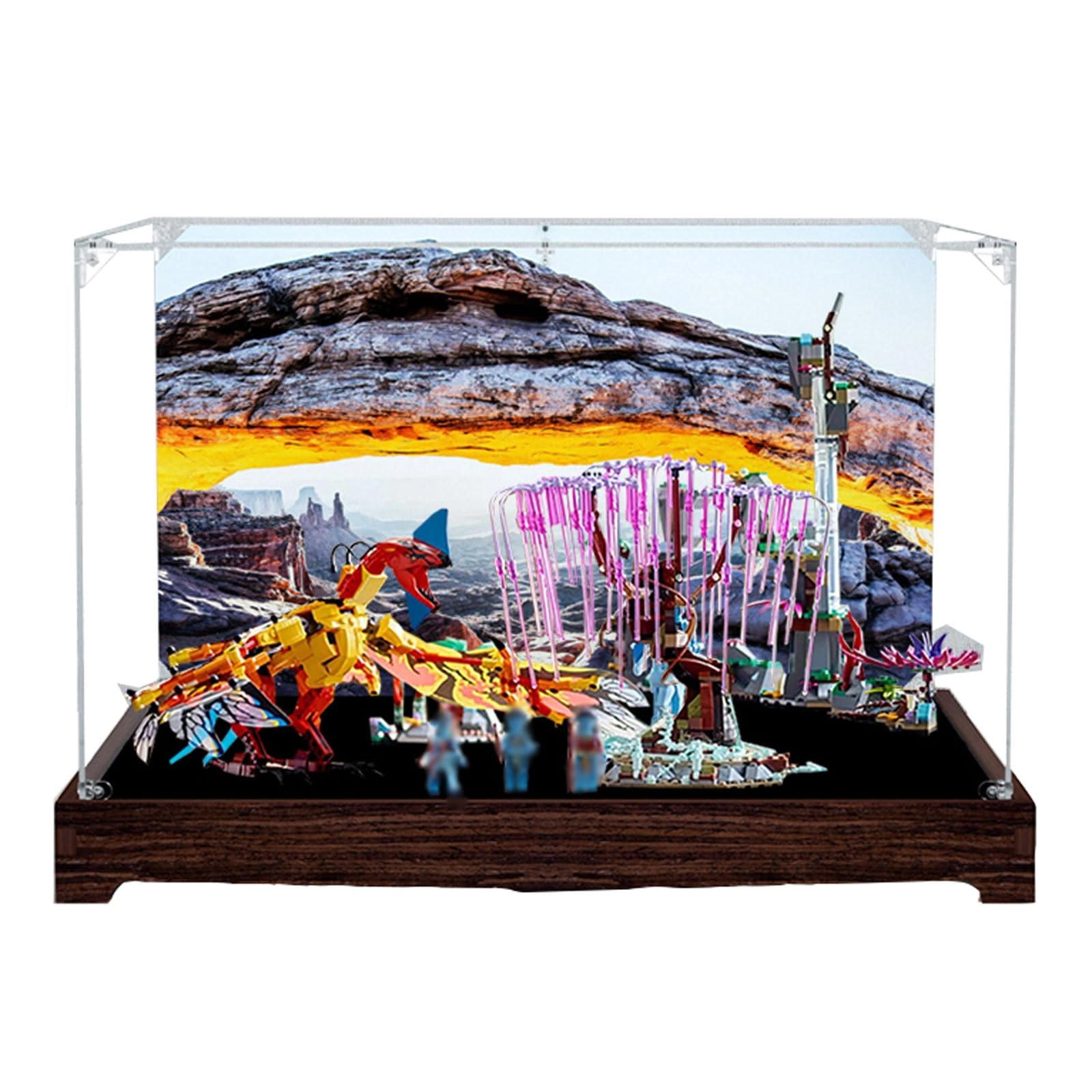 Acrylic Display Case - 75574 50 x 40 x 30 cm Black