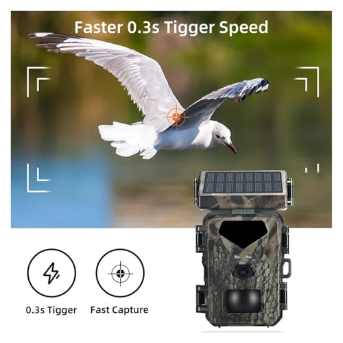 Solar Panel Hunting Camera - 20MP