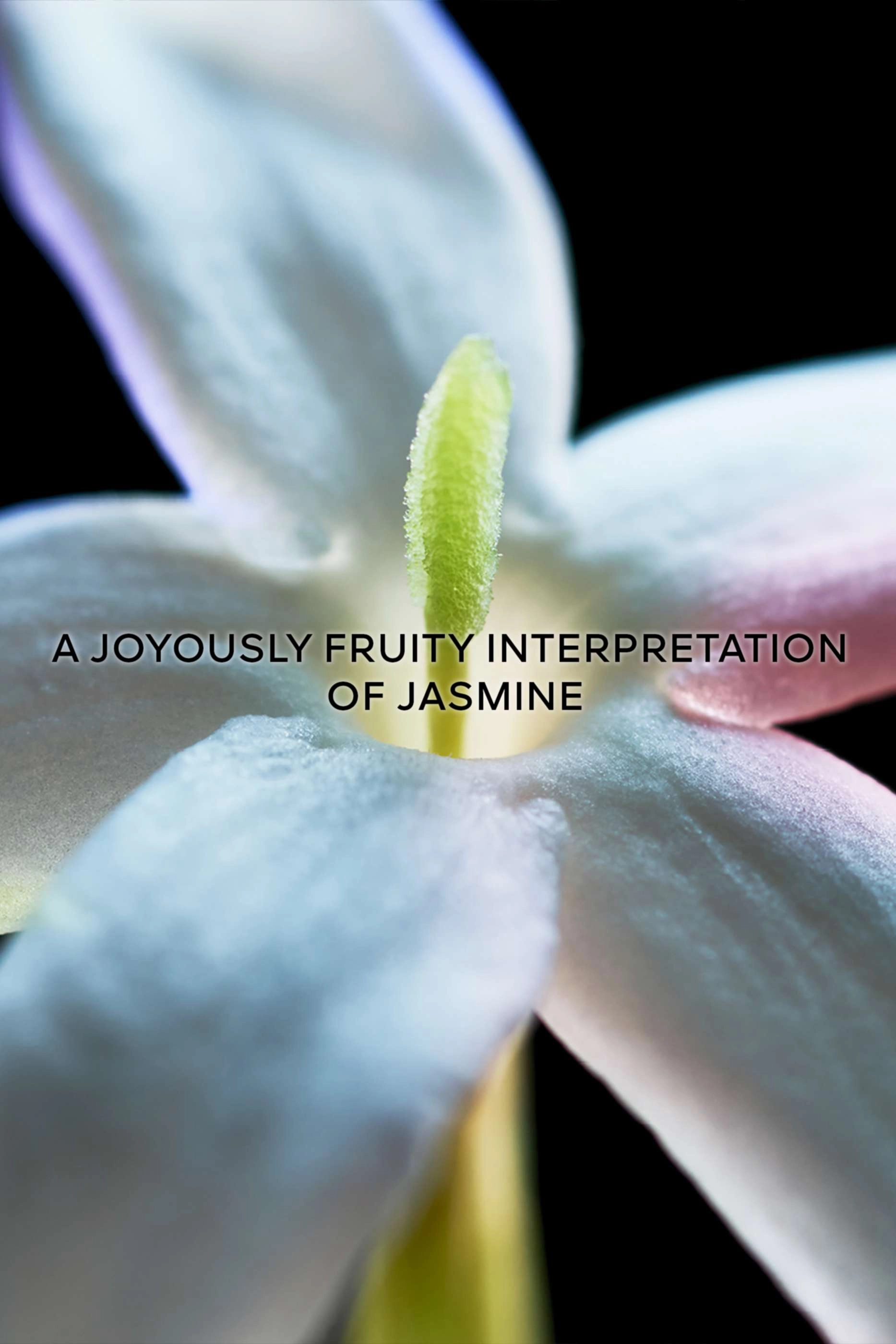 Jasmin Bonheur Eau de Parfum 200 ml