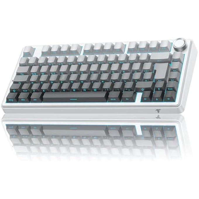 Mechanical Keyboard - DE Wired/Wireless