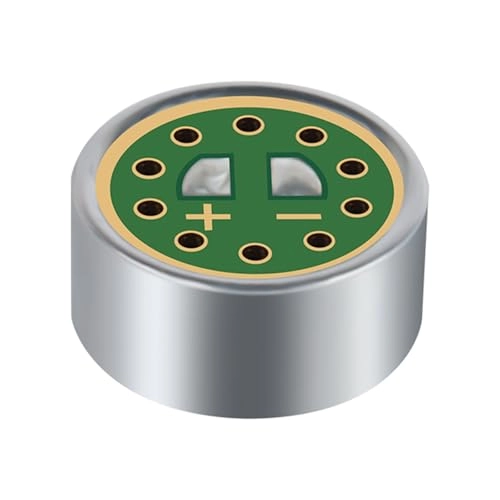 DR1406 Wired Microphone