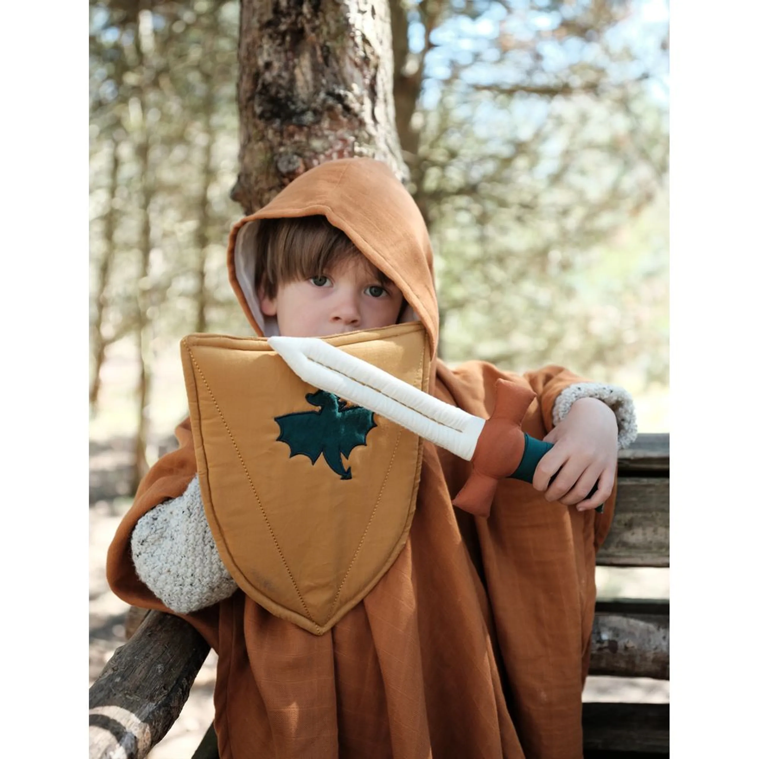 Sword And Shield Lion Set - 2pcs Suitable for 3-6 years