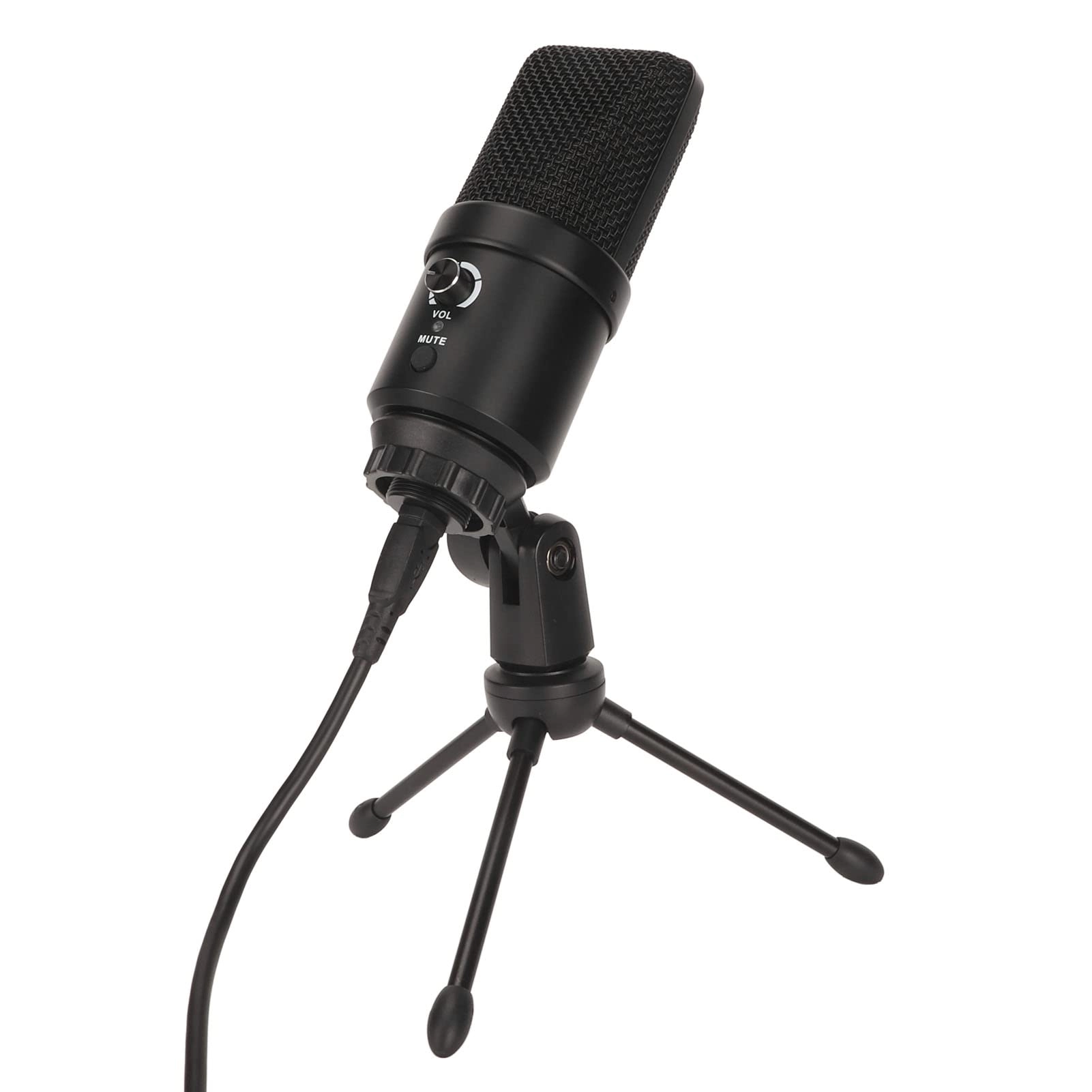 Bewinner 1i08hnzkao USB Microphone