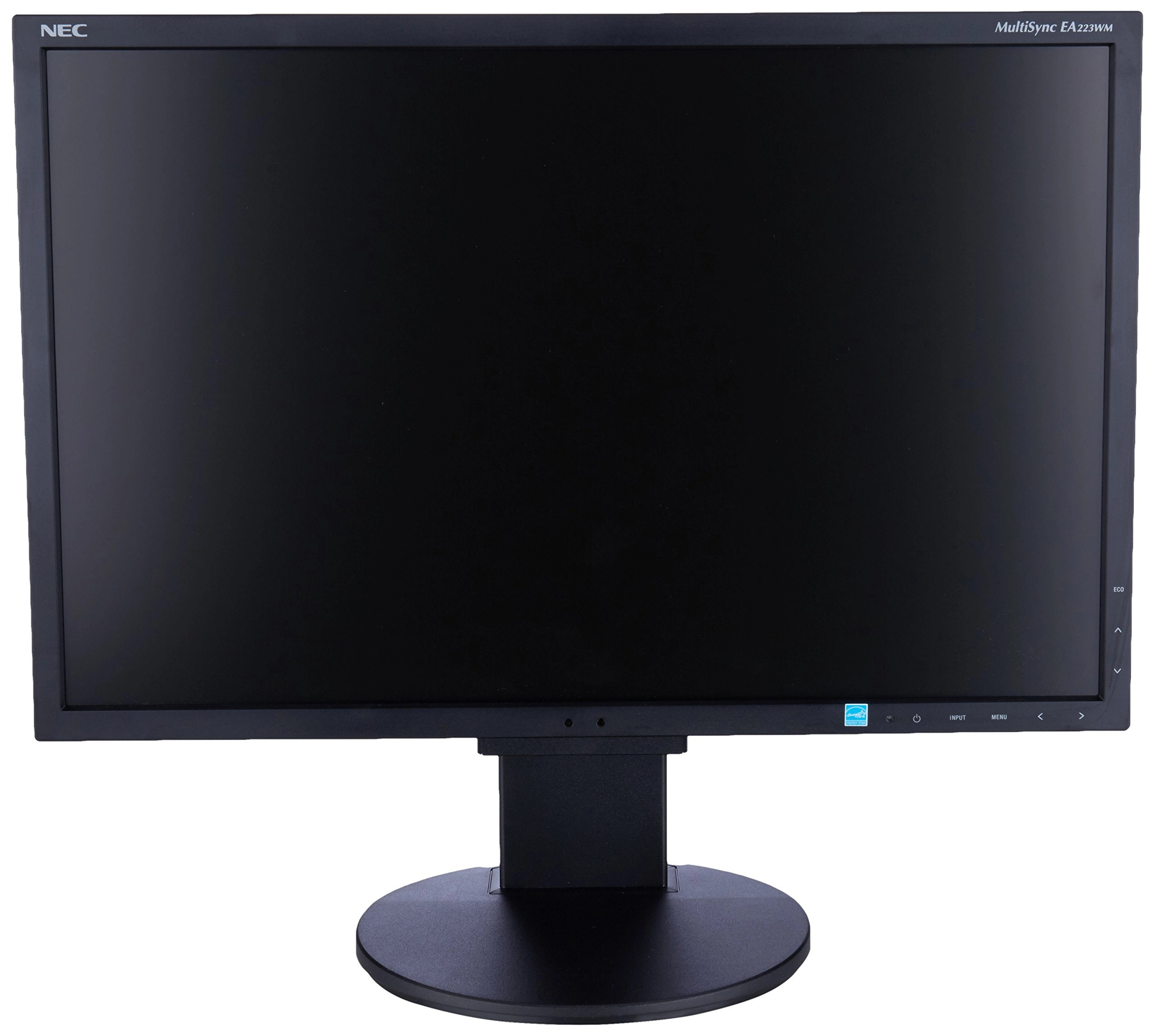 NEC EA223WNm - EA223WM-BK 22 Inches