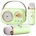 Mini Karaoke Machine - 5W