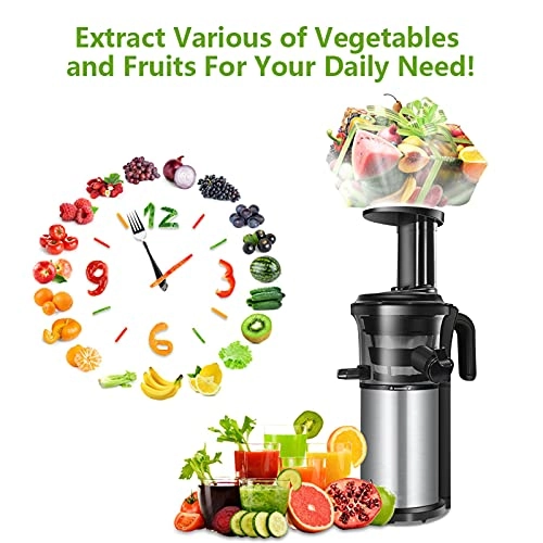 Slow Masticating Juicer - 200W