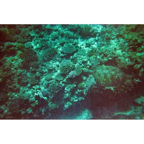 QuickSnap Waterproof - 35mm 27 Exposure + USB Flash Drive - 32 GB + Microfiber Cleaning Cloth