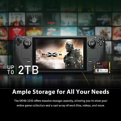 SU01KGBP44UD9007MM - 1TB 2230