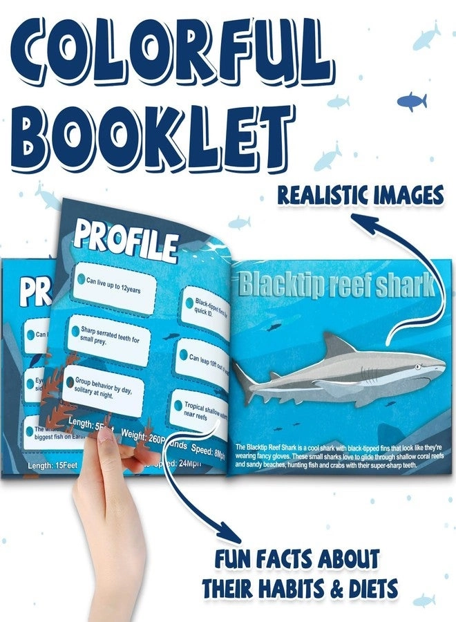 Shark Toy - 6 Pack 15-16 Inch + Educational Booklet