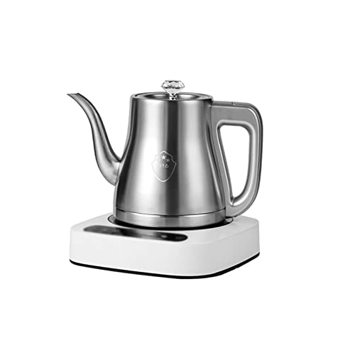 Temperature Control Electric Kettle