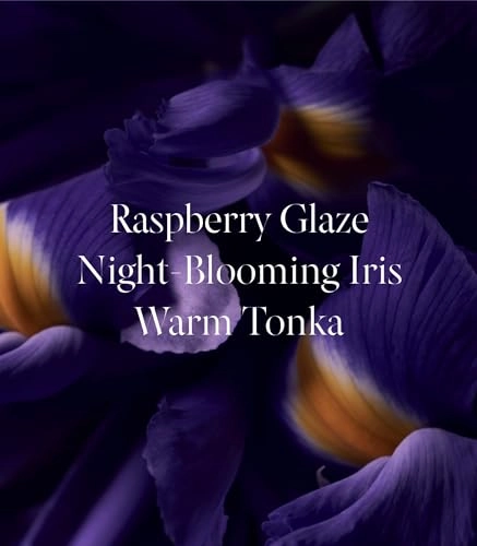 Noir Tease Eau de Parfum 50 ml