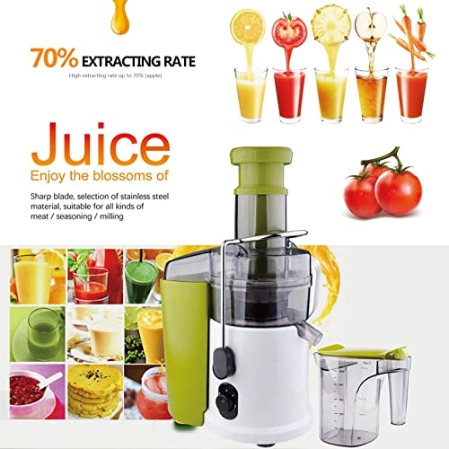 Slow Masticating Juicer Extractor - 700W 1000ml