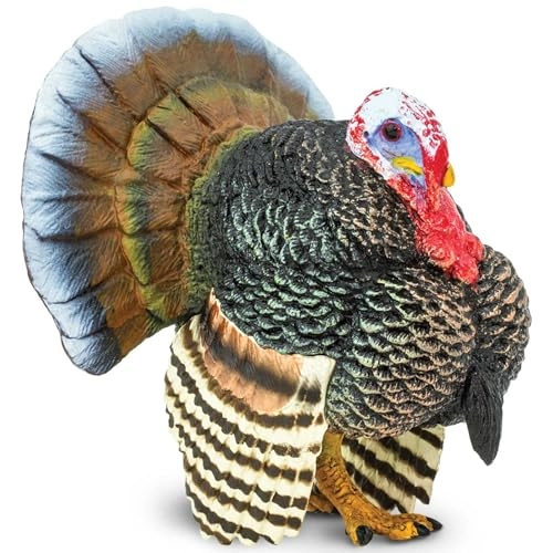 Safari Ltd Domestic Turkey Figurine - 3 yr(s)