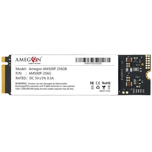 AM500P - 256GB 2280