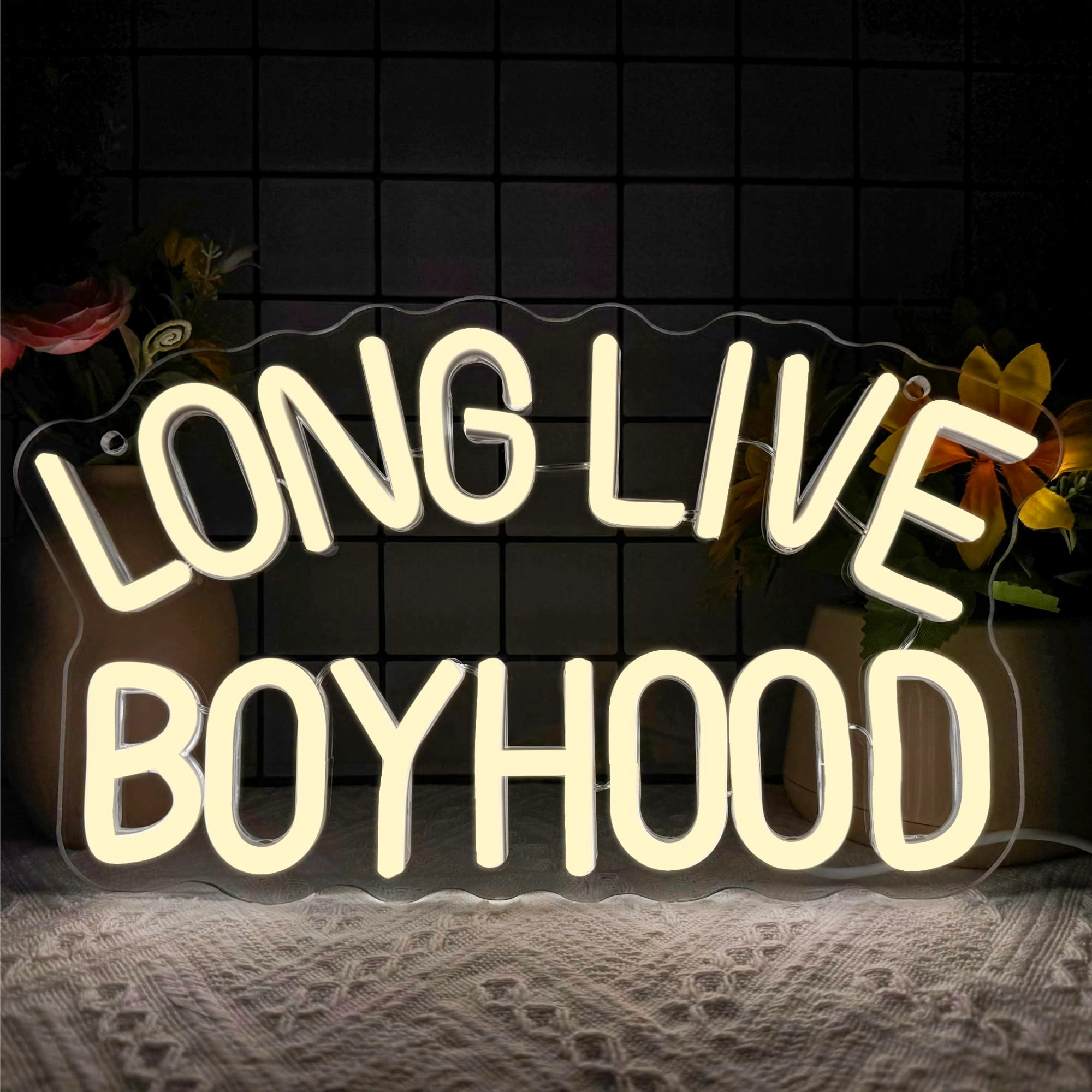 foxiden Long Live Boyhood - Dimmable USB Powered 12.4 x 7in