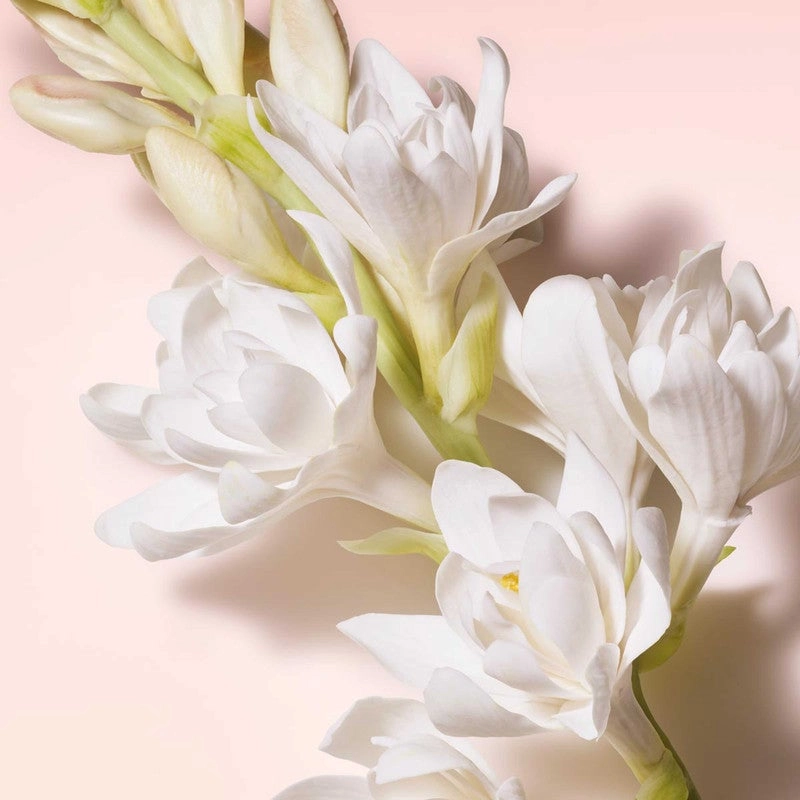My Way Nectar Eau de Parfum 90ml