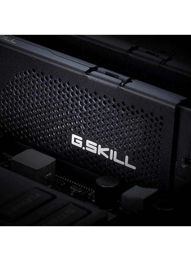 Flare X5 - 32GB 6000MT/s U-DIMM DDR5