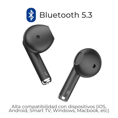 Buds 2 Wireless Earbud