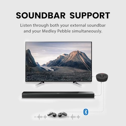 Medley Clear Wireless Earbud